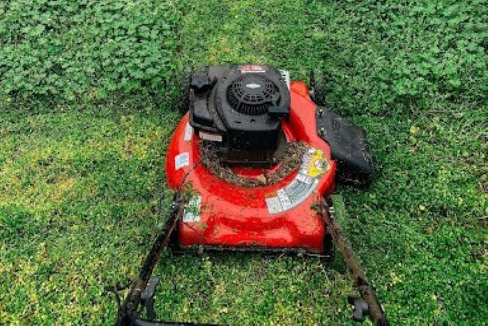 tech-forward lawn maintenance