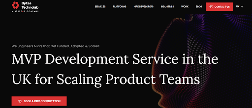 MVP development companies