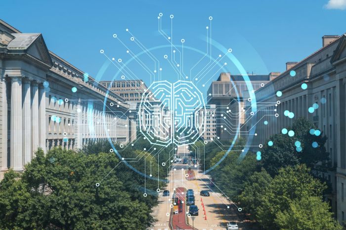 Municipal CIO in the Age of AI