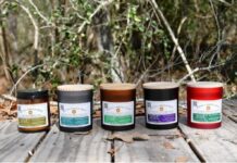 The E-Commerce Invisibility Gap: Engineering Digital Resilience and Forensic Authority