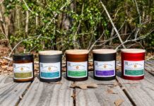 The E-Commerce Invisibility Gap: Engineering Digital Resilience and Forensic Authority