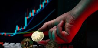 Beginner’s Guide to Crypto Investing: Common Mistakes to Avoid with Crypto Assets crypto investing