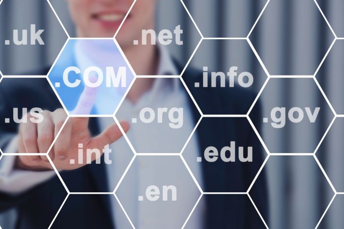 domain name