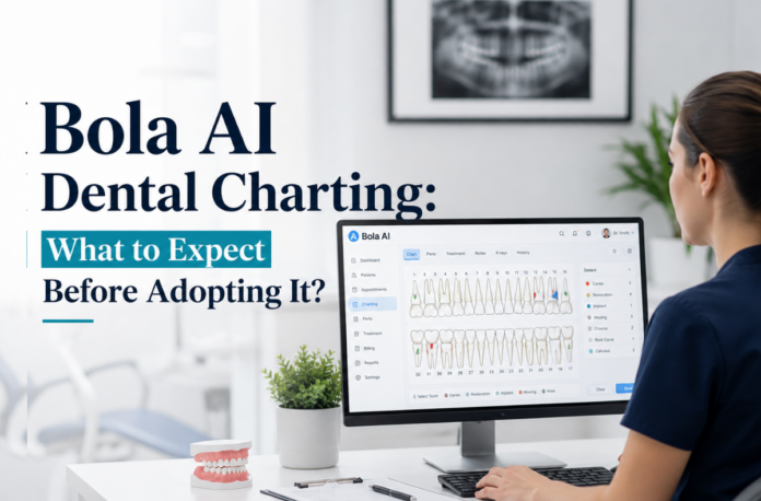 Bola AI guide Bola AI