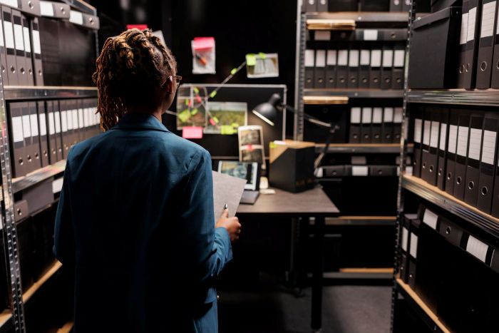 Digital Public Records