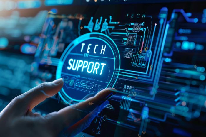 Remote IT Support