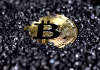 How to Manage Cryptocurrency Directly in Telegram gold and black round emblem