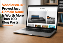 Voddler.co.uk: Proved Just Domain Name Is Worth More Than 100 Blog Posts voddler.co.uk
