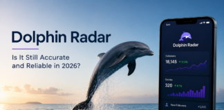 Dolphin Radar: Is It Still Accurate and Reliable in 2026? Dolphin Radar