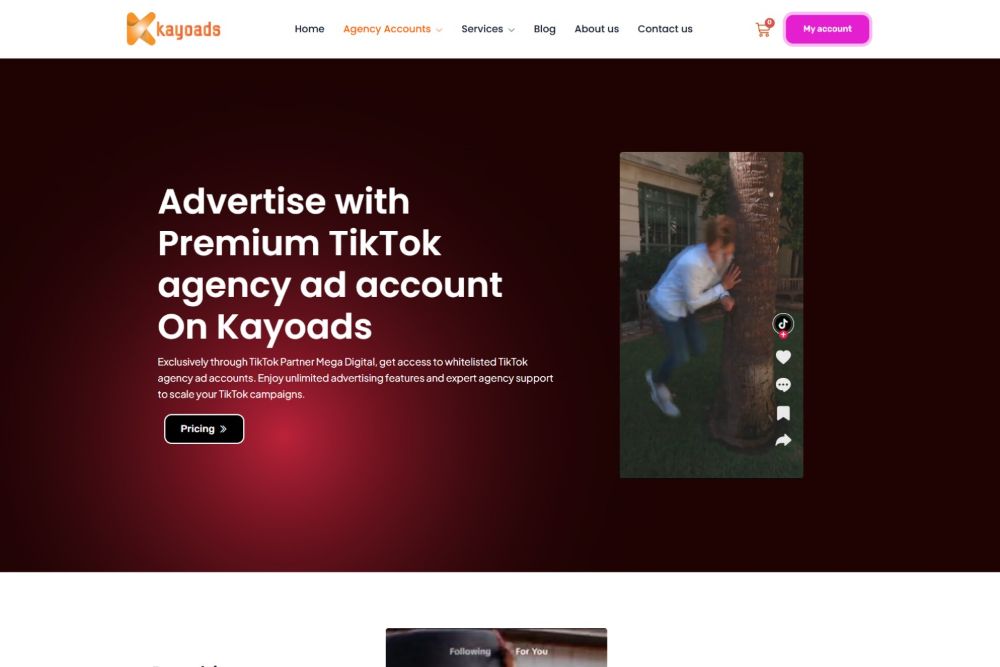 kayoads Microsoft Ads Agency Account