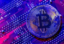 Why Embedded Crypto Services Are Becoming Standard in Fintech cryptocurrency services