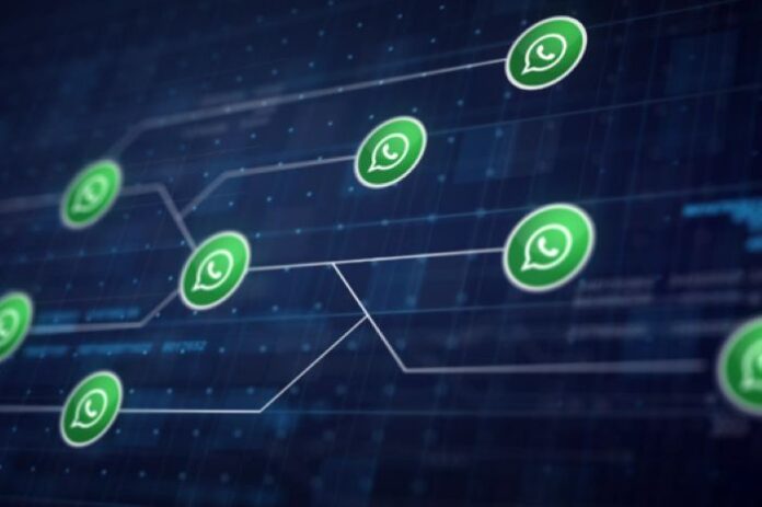 customer communication WhatsApp