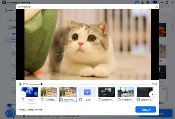 recovering cat on permanently deleted videos