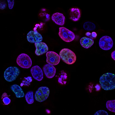 cellular health with biotech innovations