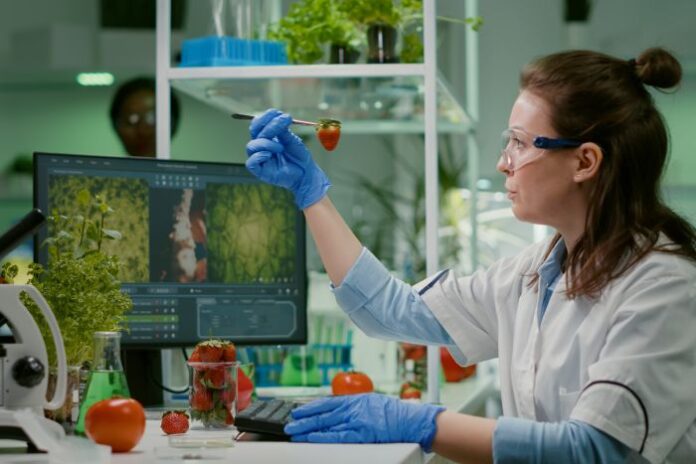 scientist-chemist-checking-strawberry-using-medical-tweezers-working-biotechnology-laboratory scientist looking at biotech innovations
