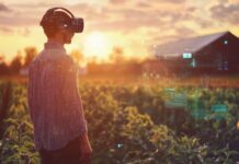 How a Reliable Internet Provider Makes Rural Life More Connected person using reliable internet on farm