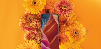 OPPO Find X9 Ultra: Crafting Iconic Portraits in Singapore a cellphone surronded by flowers