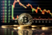Top Crypto Market Making Services for Exchanges and Token Projects image of bitcoin with graph of crypto market in the background