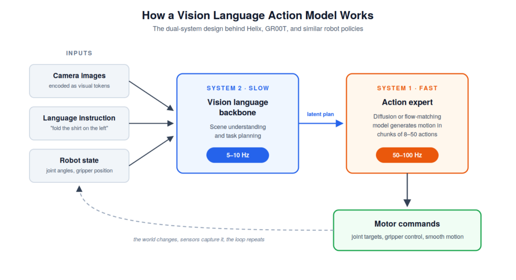 Diagram of vision language action model dual-system architecture showing camera images, language instruction, and robot state feeding a slow vision language backbone at 5 to 10 Hz, which passes a latent plan to a fast action expert at 50 to 100 Hz that outputs motor commands