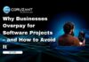 Why Businesses Overpay for Software Projects – and How to Avoid It headline for overpaying for software projects
