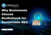 Why Businesses Choose StudioHawk for Sustainable SEO headline for sustainable seo