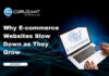 Why E-commerce Websites Slow Down as They Grow headline for ecommerce websites slowing down