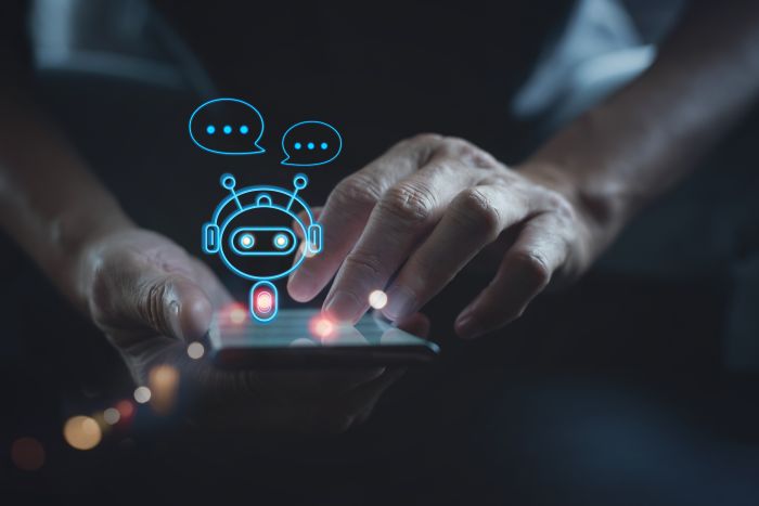 person interacting with chatbot