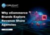Why eCommerce Brands Explore Revenue Share Agencies headline for Why eCommerce Brands Explore Revenue Share Agencies