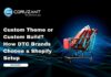 Custom Theme or Custom Build? How DTC Brands Choose a Shopify Setup headline for Custom Theme or Custom Build? How DTC Brands Choose a Shopify Setup